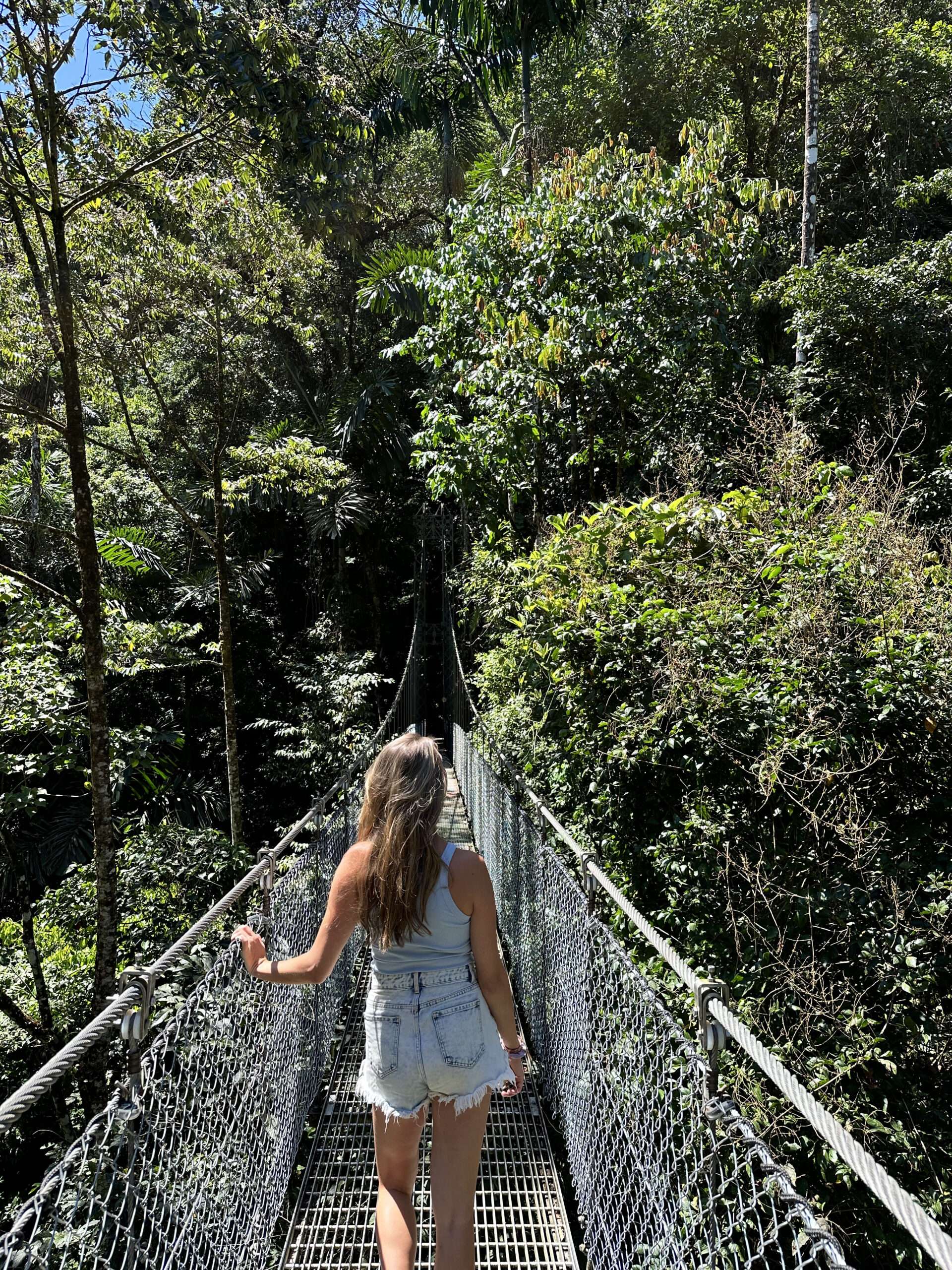 foto van lisanne costa rica hangbruggen